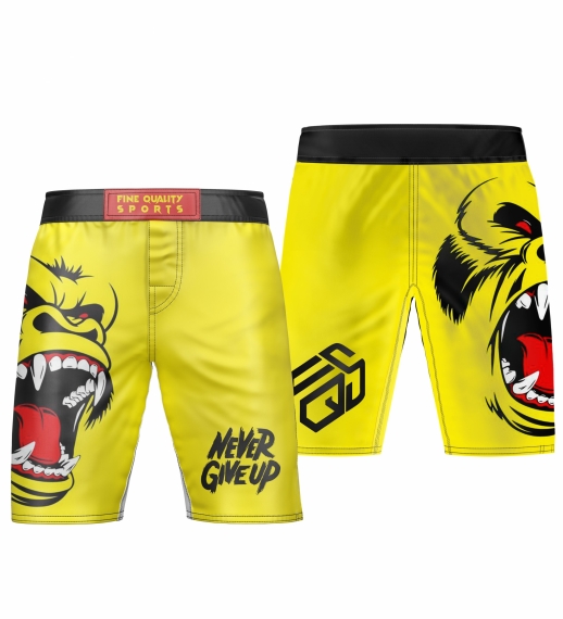 BJJ Shorts